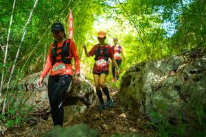 BIB: 2196
                            <button type="button" onclick="openModal(22088602)" class="btn btn-primary btn-sm float-right btn-popup" data-toggle="modal" data-target=".modal-high-quality">
                        <i class="fas fa-shopping-cart"></i> Add to Cart
                    </button>
                                            <button type="button" onclick="isThisMe(22088602, true)" class="btn btn-success btn-sm float-right btn-popup btn-isme hidden" data-toggle="tooltip" data-placement="bottom" title="นี่คือรูปของคุณใช่ไหม คลิกที่นี่เพื่อเอาเข้าอัลบั้ม">
                        <i class="fas fa-plus"></i> Add to album
                    </button>
                    <button type="button" onclick="isThisMe(22088602, false)" class="btn btn-warning btn-sm float-right btn-popup btn-isnotme hidden">
                        <i class="fas fa-ban"></i> Remove from album
                    </button>